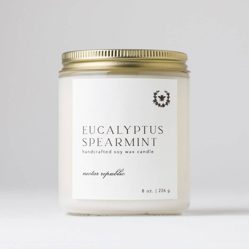Eucalyptus + Spearmint Tin Soy Candle | mothers day spring