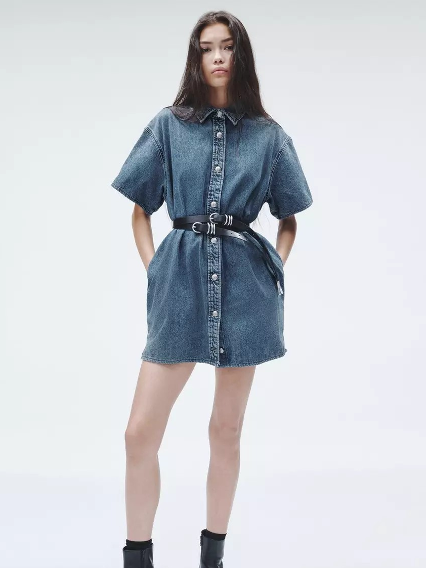 Carter Denim Dress