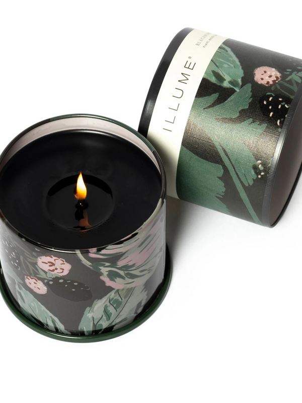 Blackberry Absinthe Vanity Tin Candle