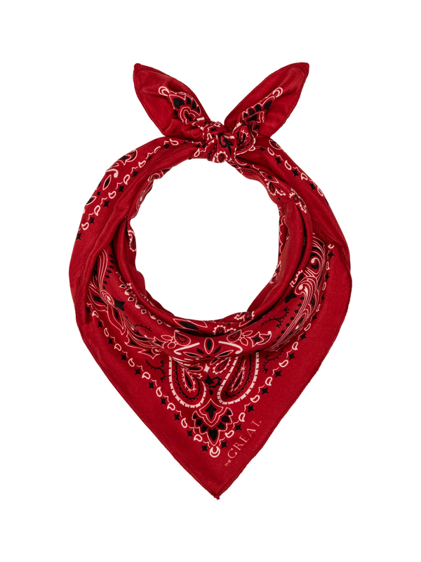 The Silk Bandana