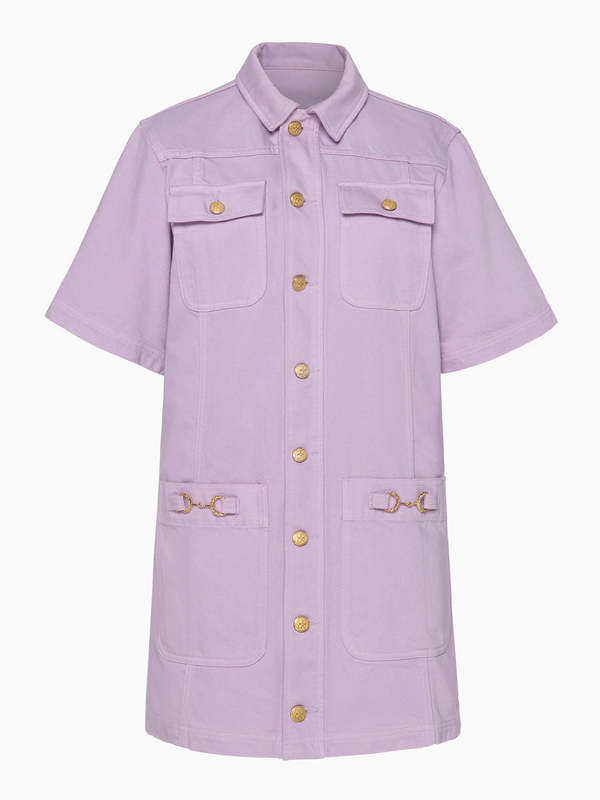 The Painters Denim Mini Dress