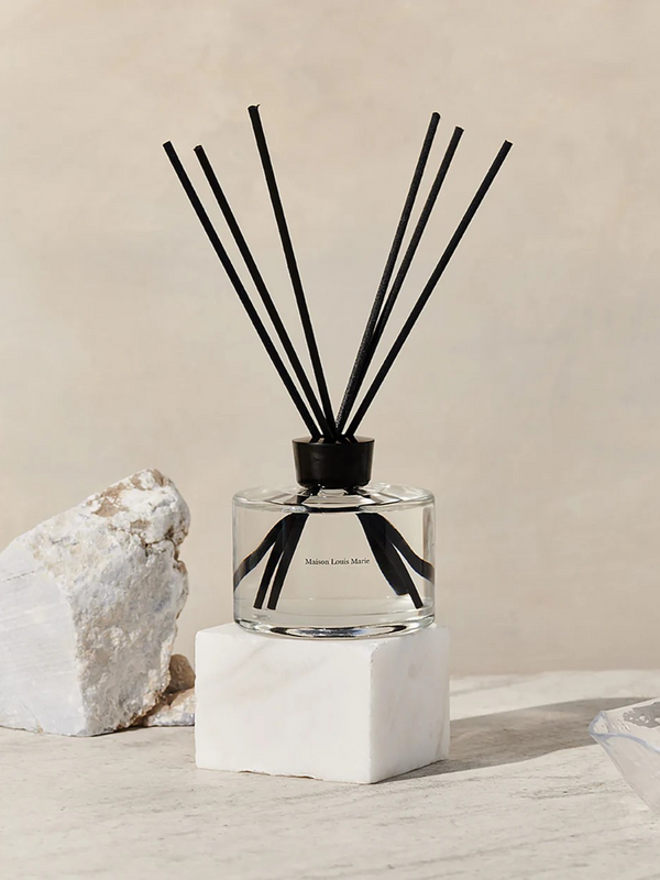 No. 04 Bois de Balincourt Home Diffuser