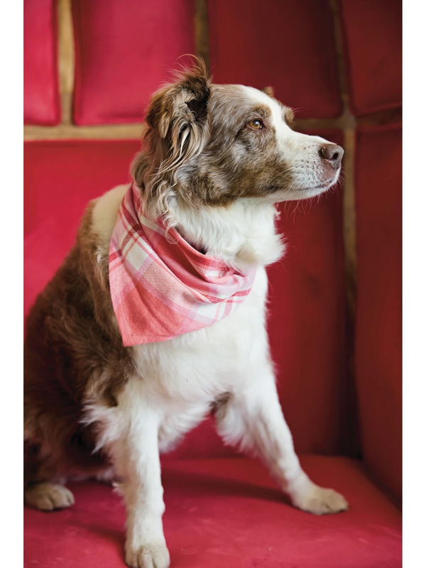 Cotton Flannel Dog Scarf w/ Plaid Pattern