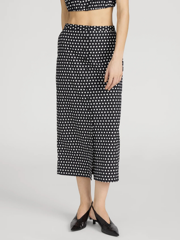 The Polka Dot Skirt